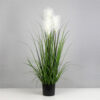 pianta led